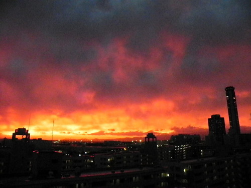 DSCN6481 - コピー1000