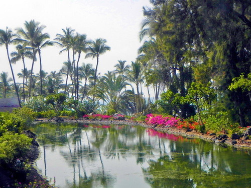 DSCN0142