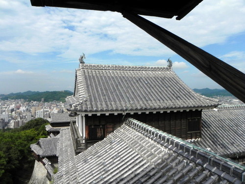 DSCN5173