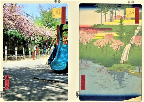 目黒千代が池　正