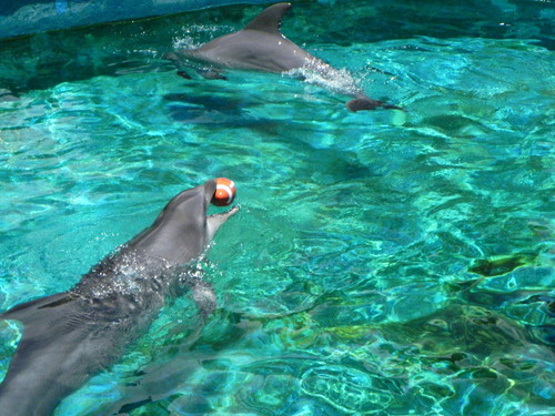 DSCN8245-1000