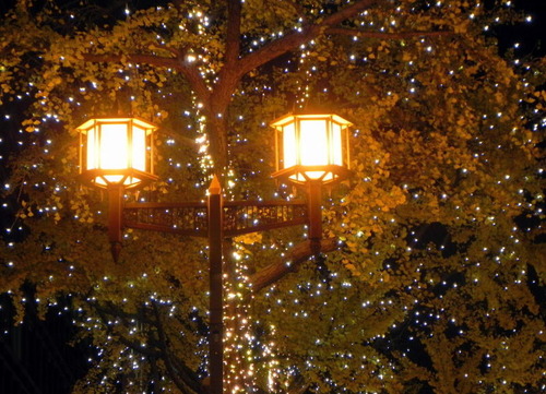 DSCN9960 - コピー