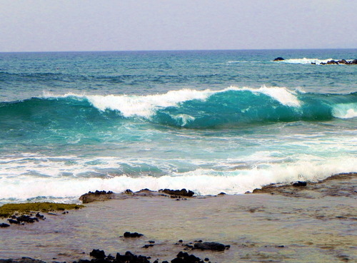DSCN0209