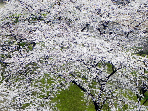 DSCN8045