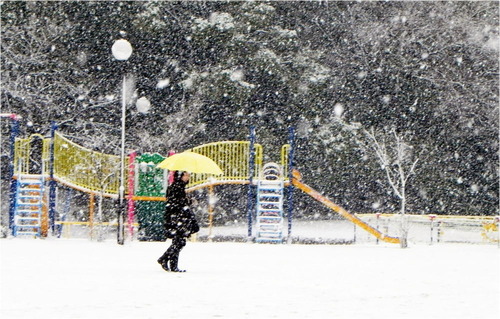 DSCN9123 - コピー