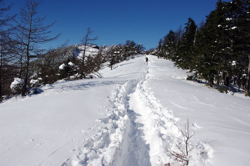 SU 雲取山　金森康夫