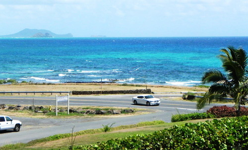 DSCN8153