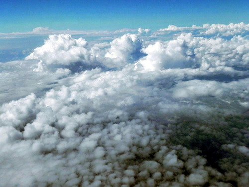 DSCN8950 - コピー - コピー