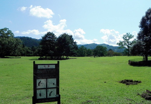 DSCN5290