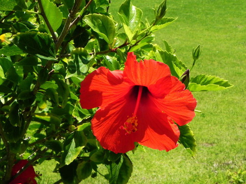 DSCN8170-800