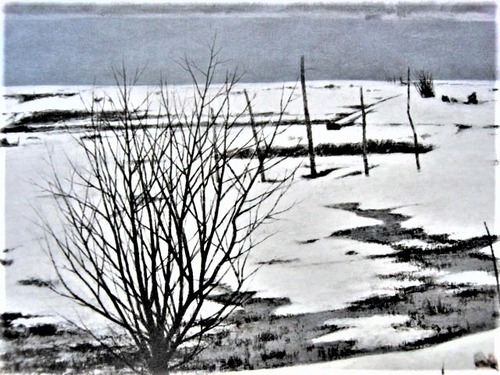 中路融人　雪の余呉湖