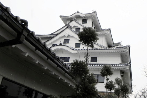 DSCN8025
