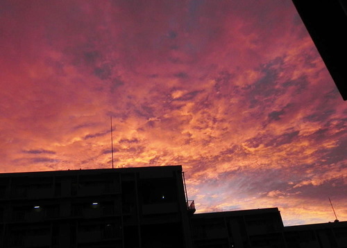 DSCN8864