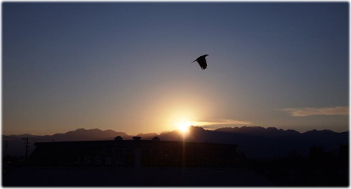 60052429 剣に上る朝日