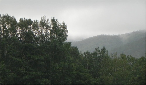 DSCN9078