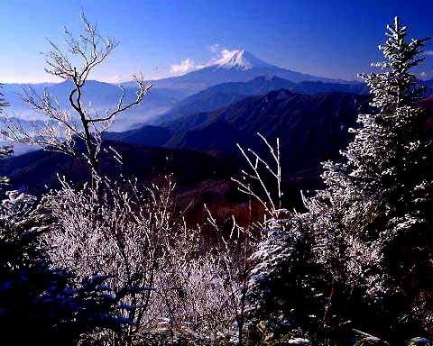 3045195 雁ガ腹摺山から