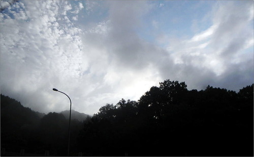 DSCN3042