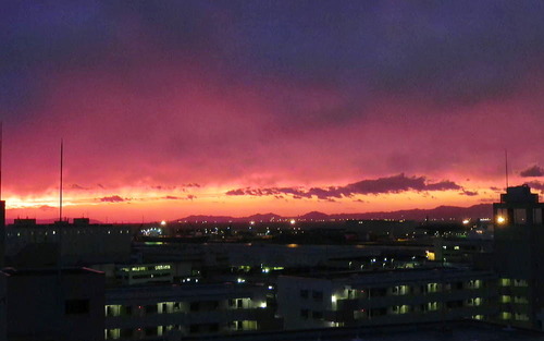 DSCN6517 - コピー