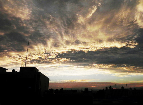DSCN8877