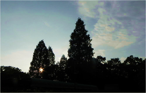 DSCN7540