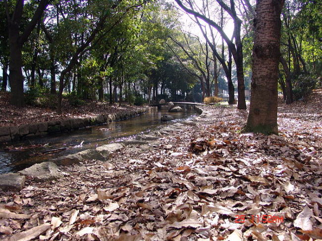 dsc00466.jpg
