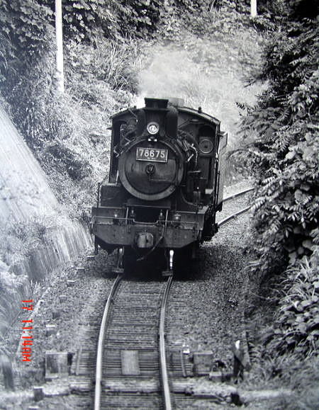 c11 78675 (1)