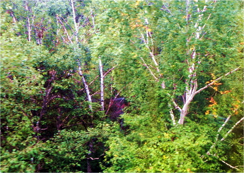DSCN9072