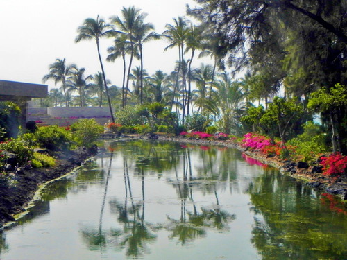 DSCN0143