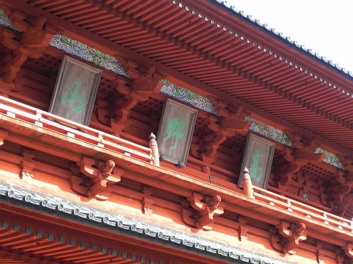 DSCN6731