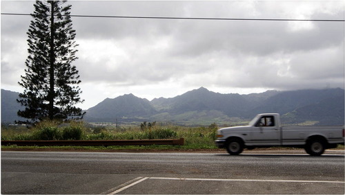 _DSC5083 - コピー