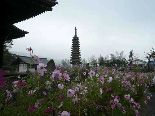 p1020344.jpg
