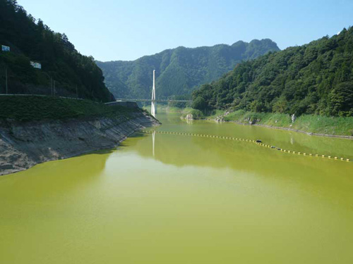 p1000056_1.jpg