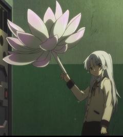 じゃくさん生存報告 ハンドソニック Livedoor Blog ブログ