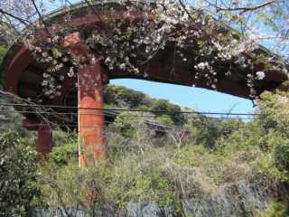 img20090426.jpg