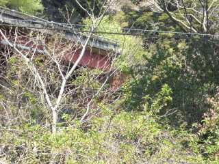 img20090426_1.jpg