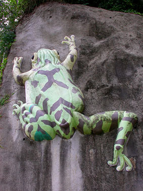 frog3.jpg