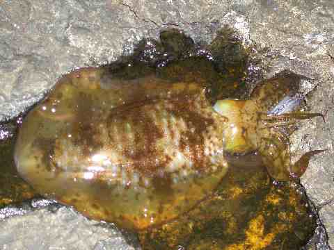 06.jpg