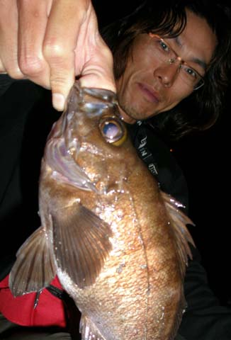 02.jpg