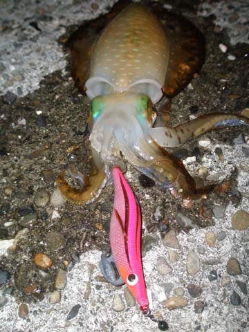 05.jpg