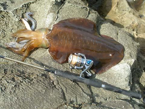06.jpg