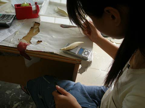 04.jpg