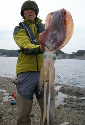 06.jpg