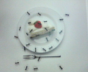 200512102343000.jpg