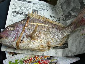 img20070109.jpg