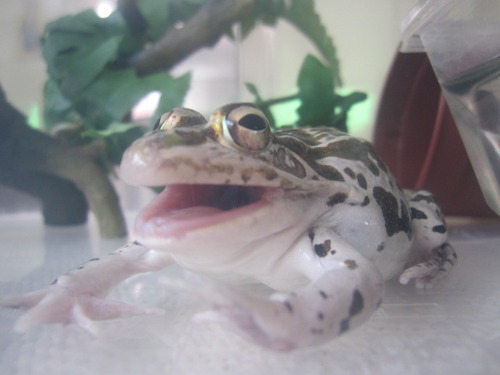 12年05月 ぼーやんのお部屋