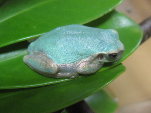 秘儀 雲隠れの術 ぼーやんのお部屋