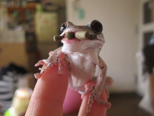 凄い食べ方 ぼーやんのお部屋