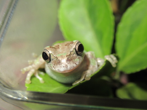 親バカ発現 ぼーやんのお部屋 親バカ発現 ぼーやんのお部屋