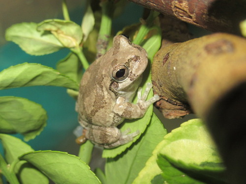 ウンチ ぼーやんのお部屋
