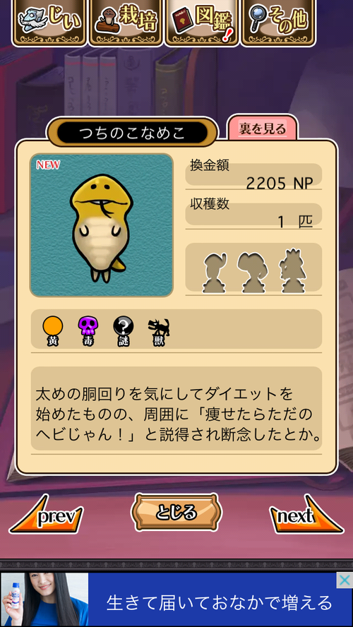 つちのこなめこ ぼーやんのお部屋 つちのこなめこ ぼーやんのお部屋